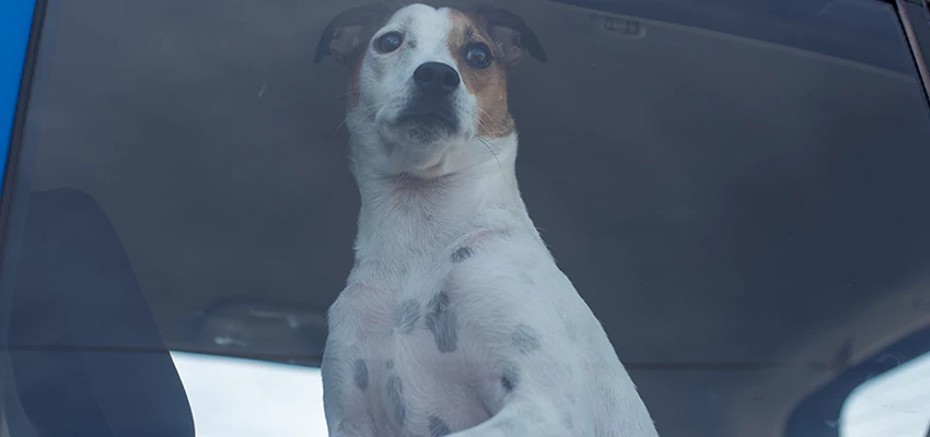 Car Lockout Solutions in Solana Beach, California